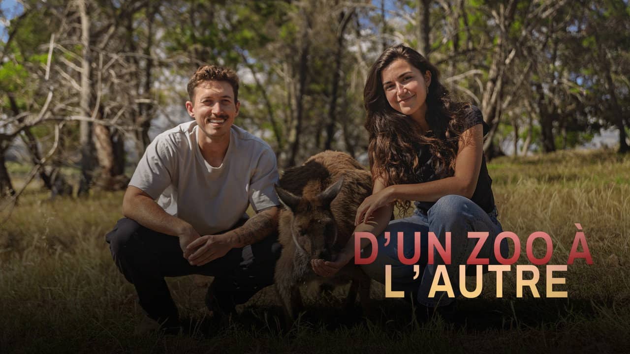 D'un zoo à l'autre backdrop