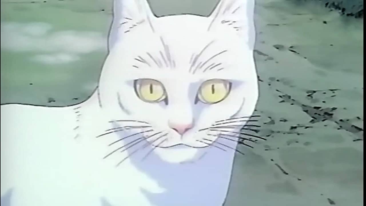Licca the Movie: Licca-chan to Yamaneko Hoshi no Tabi backdrop