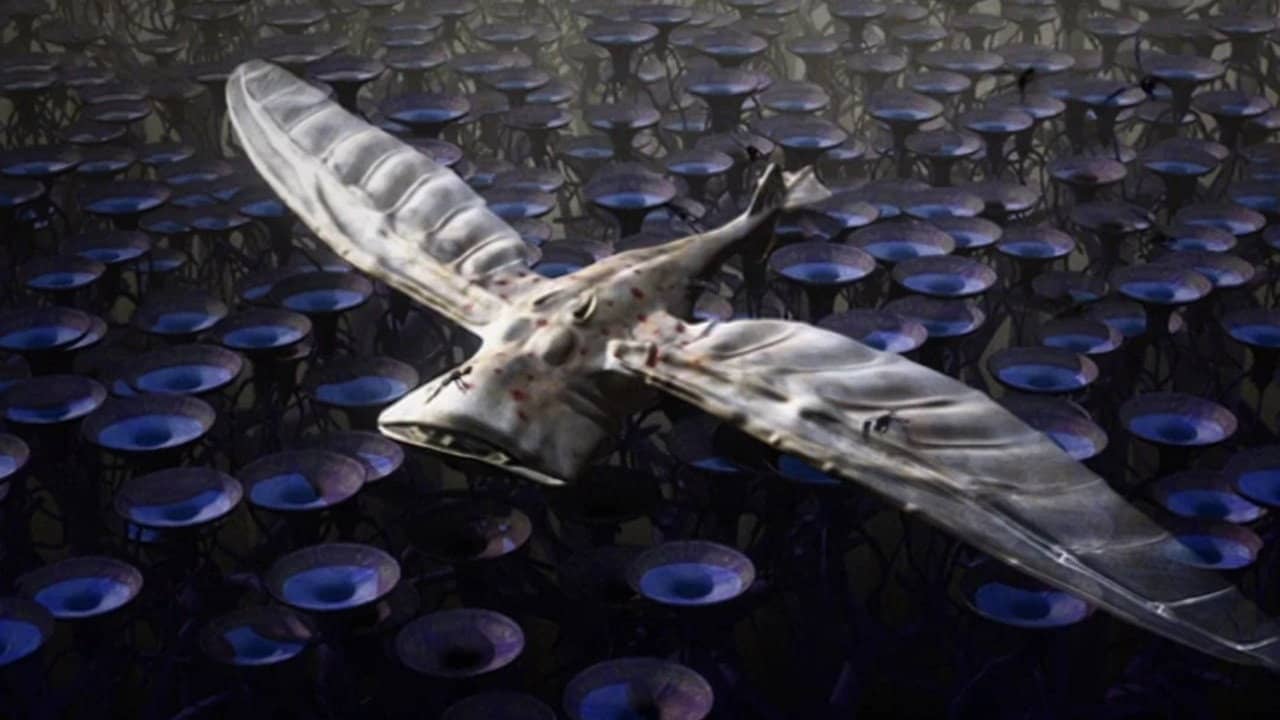 Extraterrestrial backdrop