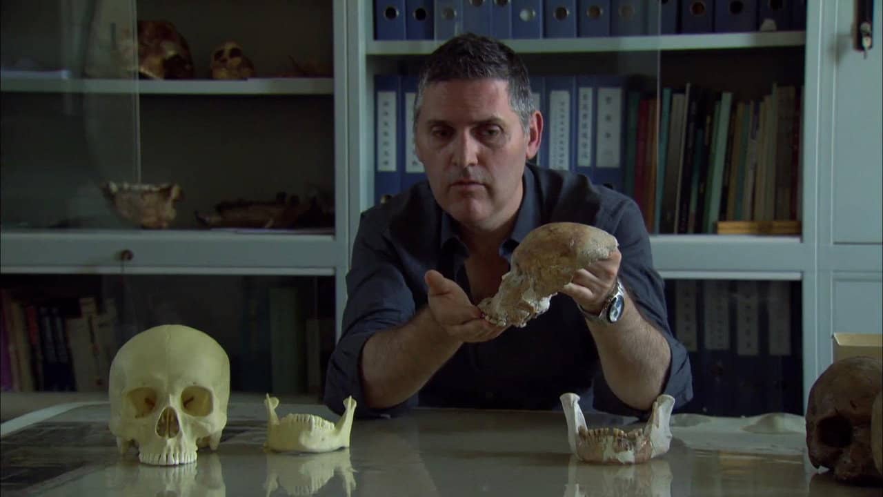 Enigma Man: A Stone Age Mystery backdrop