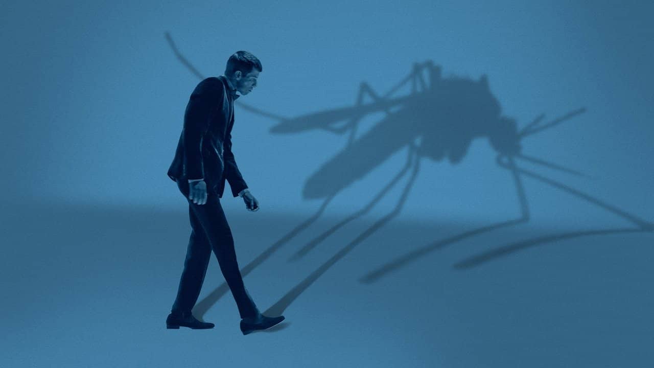Mosquito State backdrop