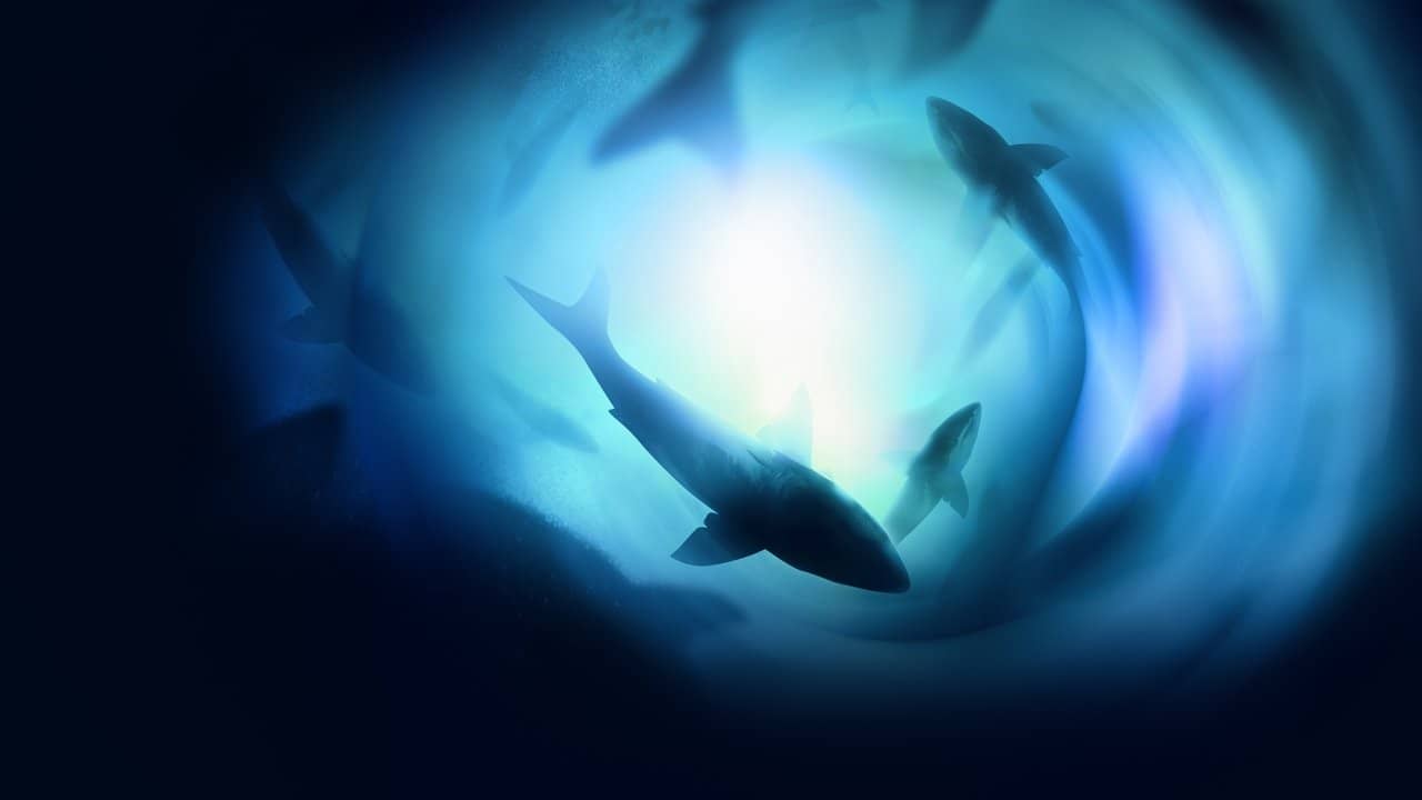 Counting Jaws backdrop