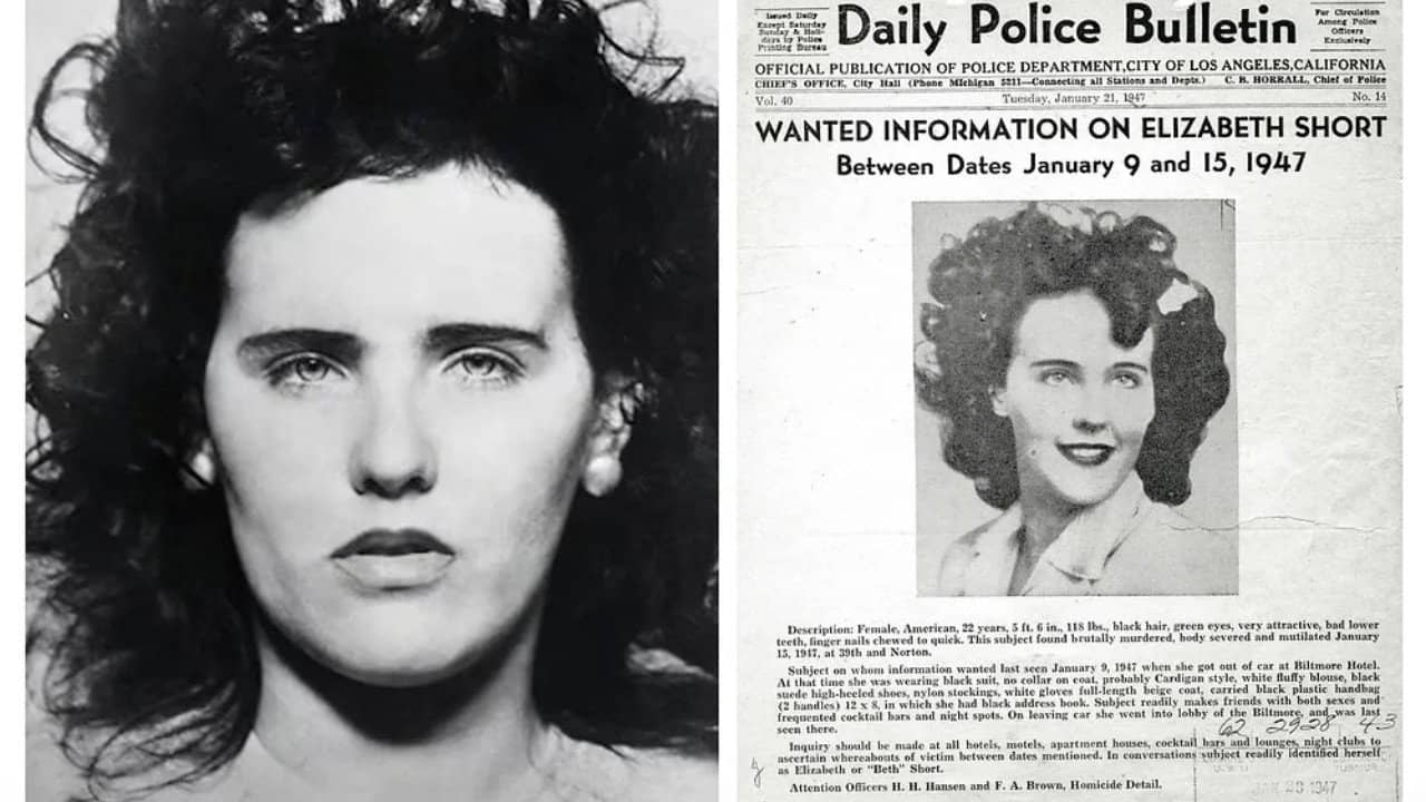 Black Dahlia Confidential backdrop