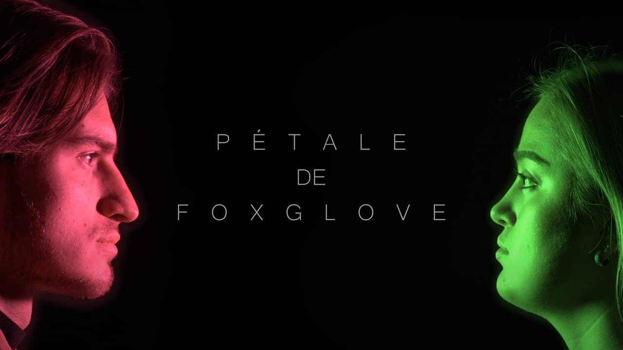 Pétale de Foxglove backdrop