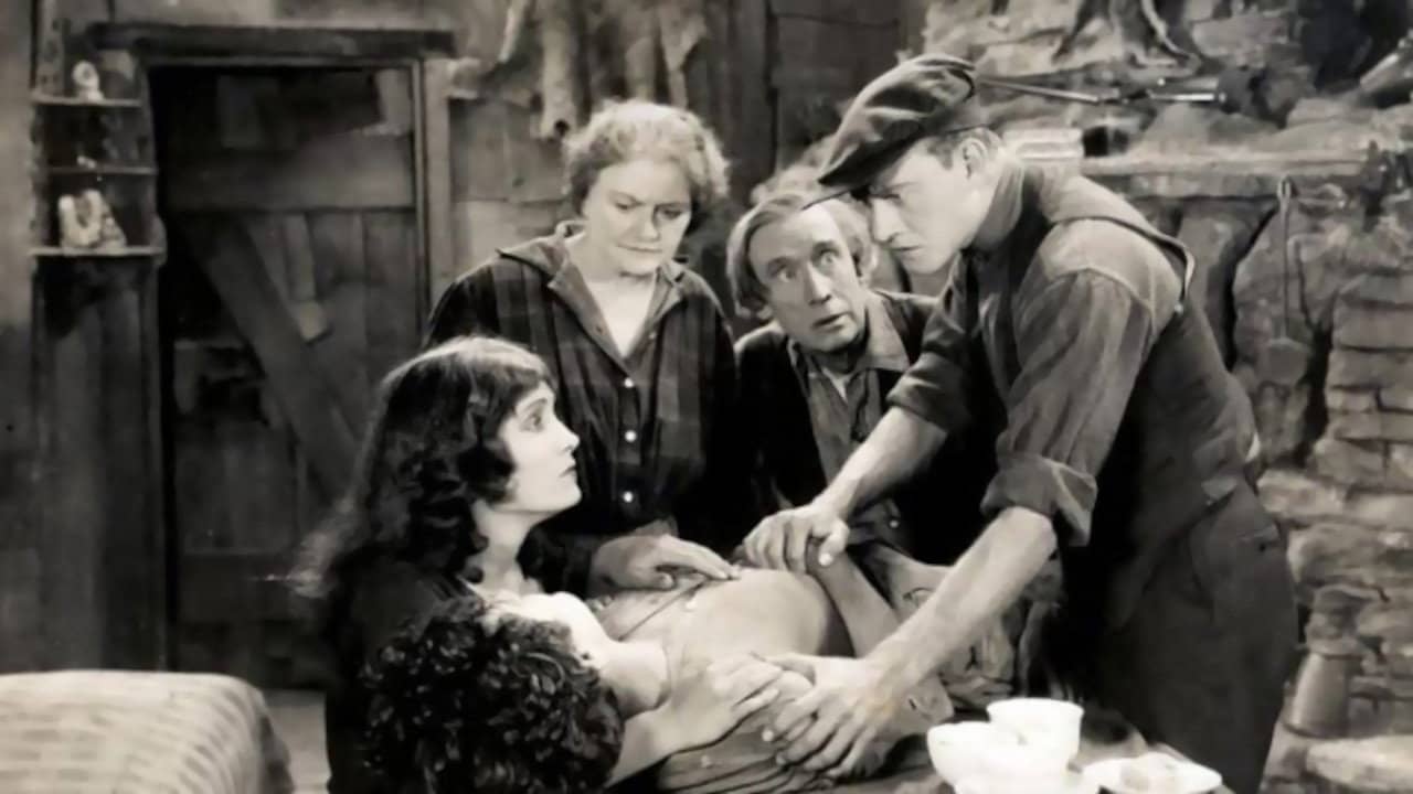 Sun-Up backdrop