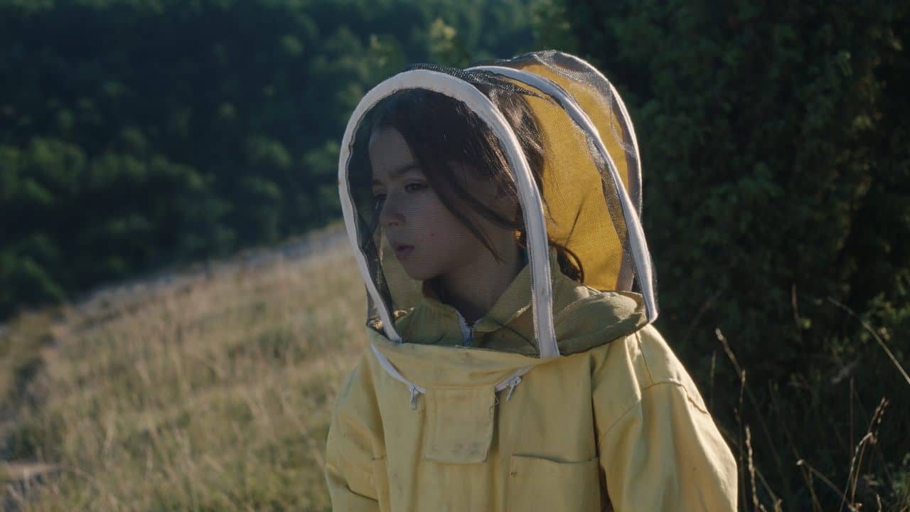 20,000 Species of Bees backdrop