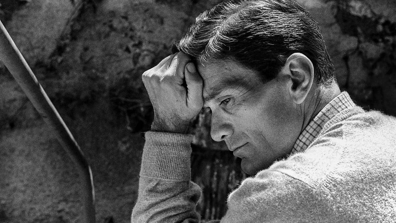 La voce di Pasolini backdrop