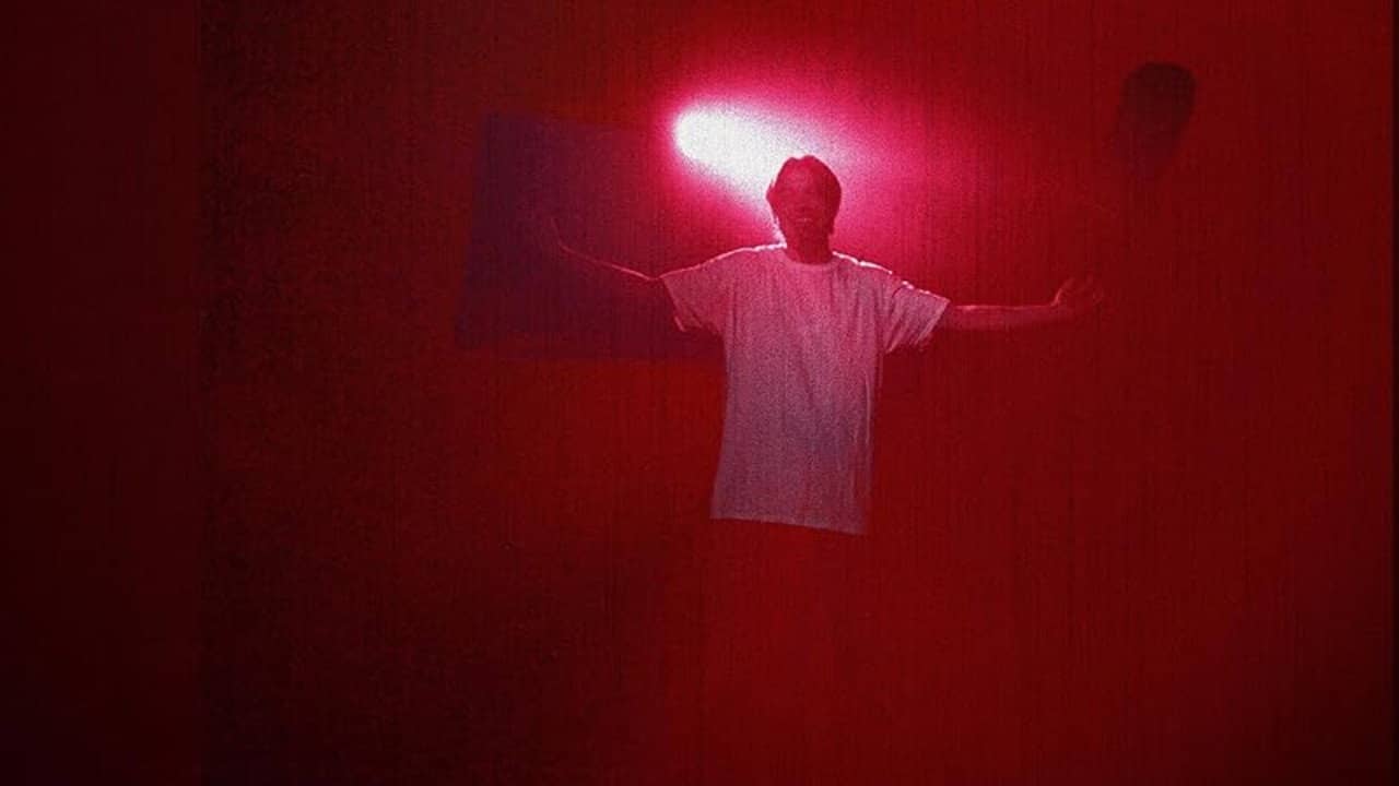 Inside You There Are Two Wolves backdrop