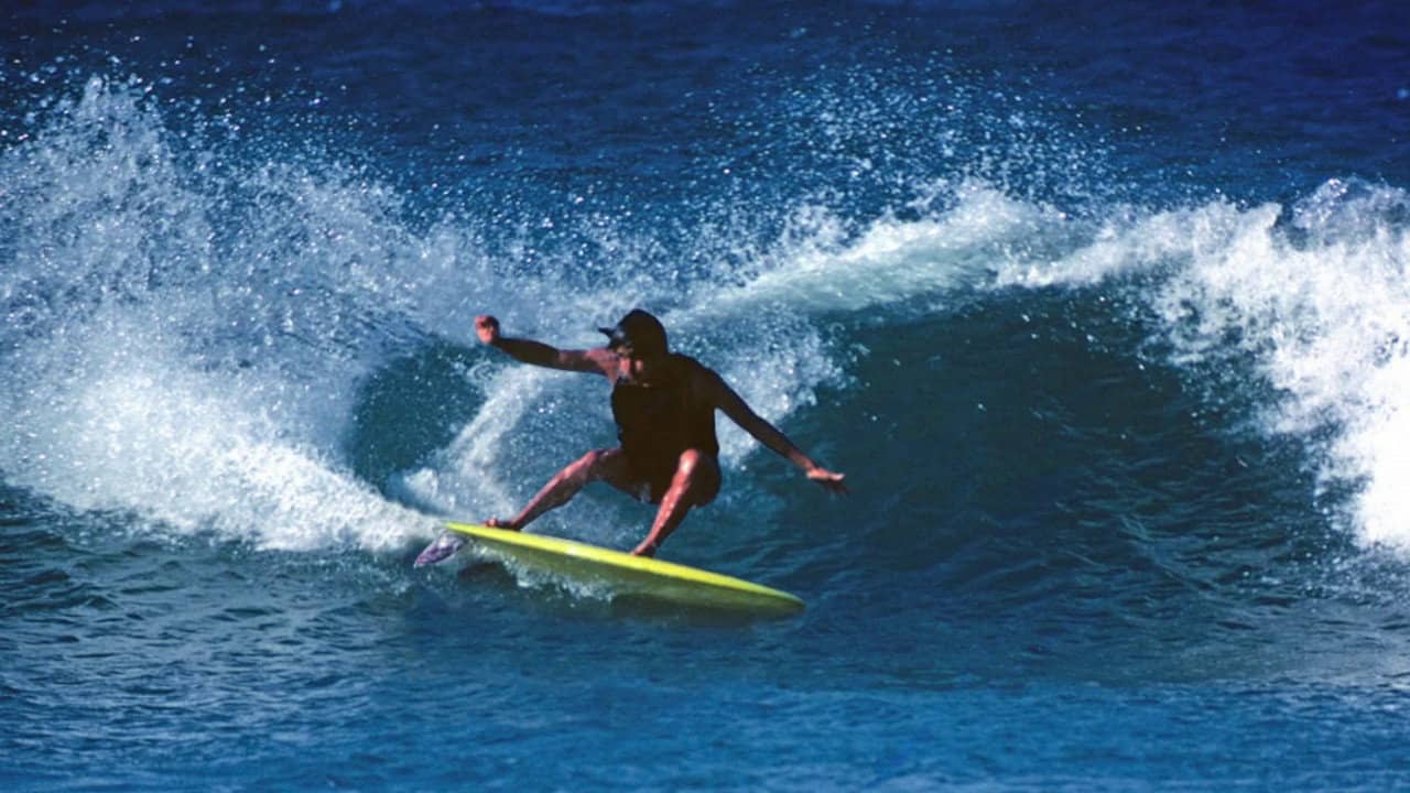 Fish: The Surfboard Documentary backdrop
