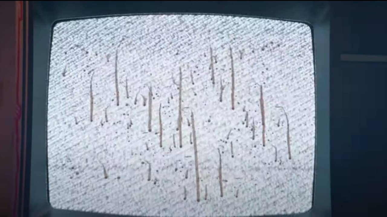 HIT TV //The Prologue backdrop
