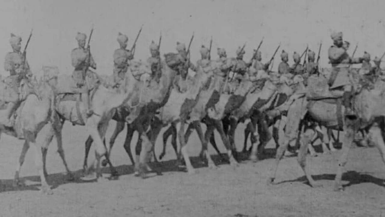 Delhi Durbar backdrop