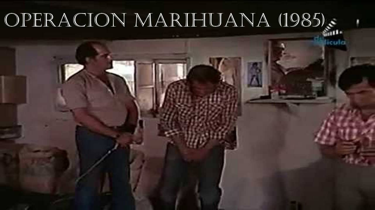 Operation Marihuana backdrop