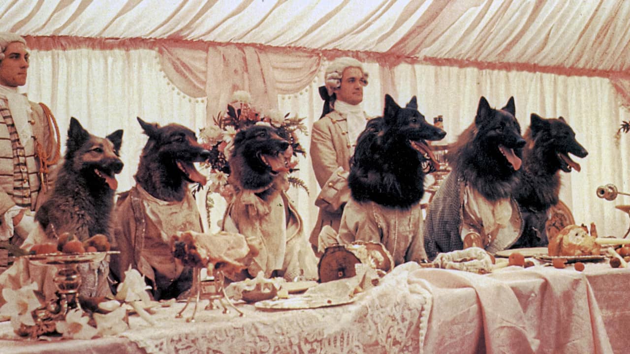The Company of Wolves backdrop