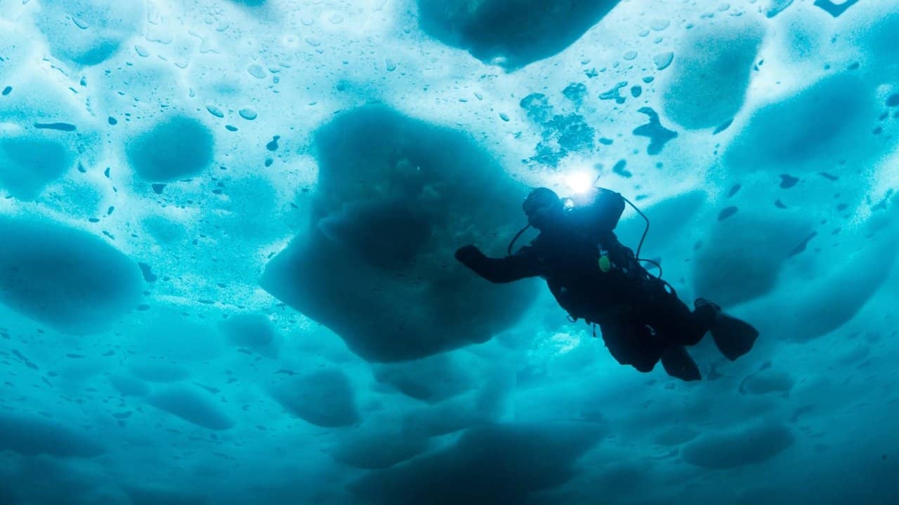 Bering Sea Gold: Under the Ice backdrop