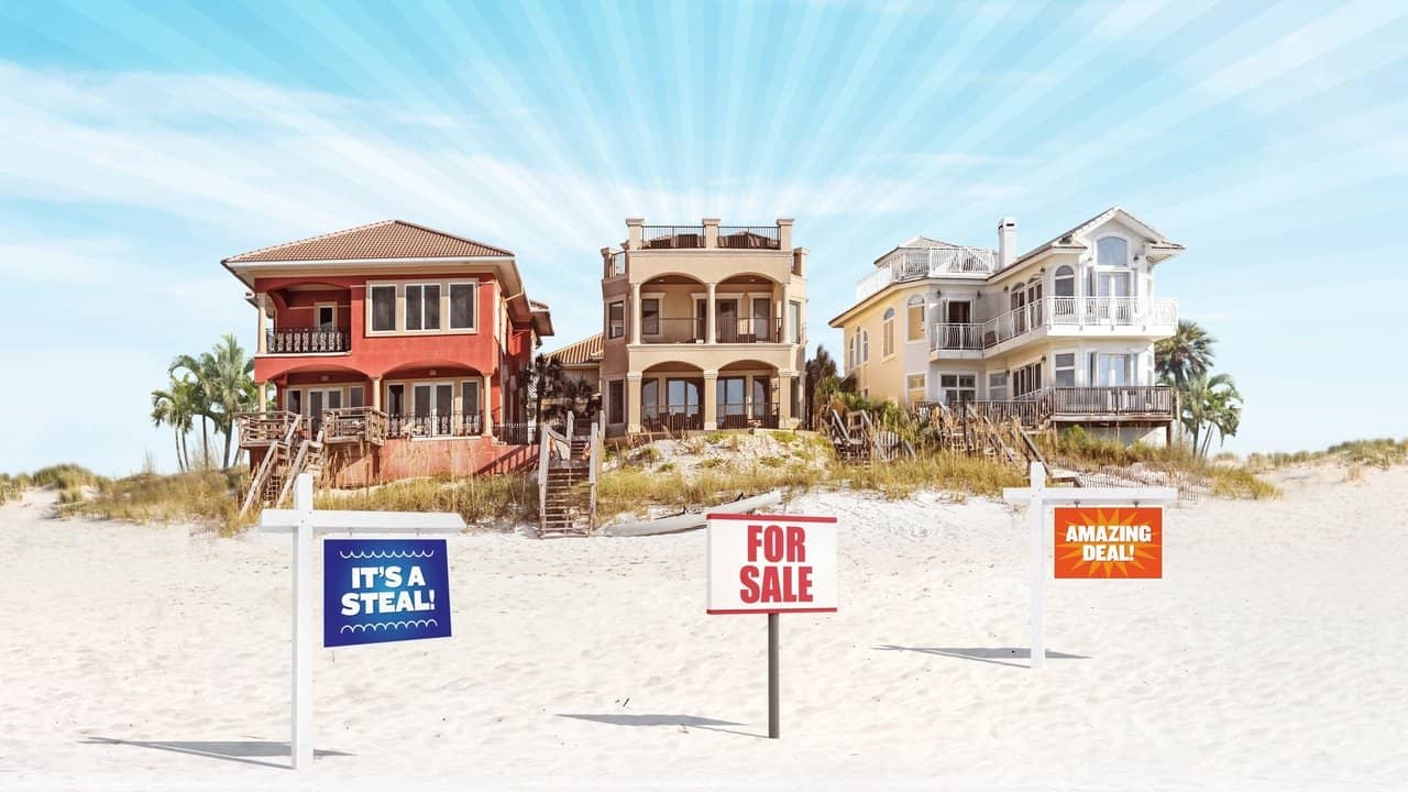 Beachfront Bargain Hunt backdrop