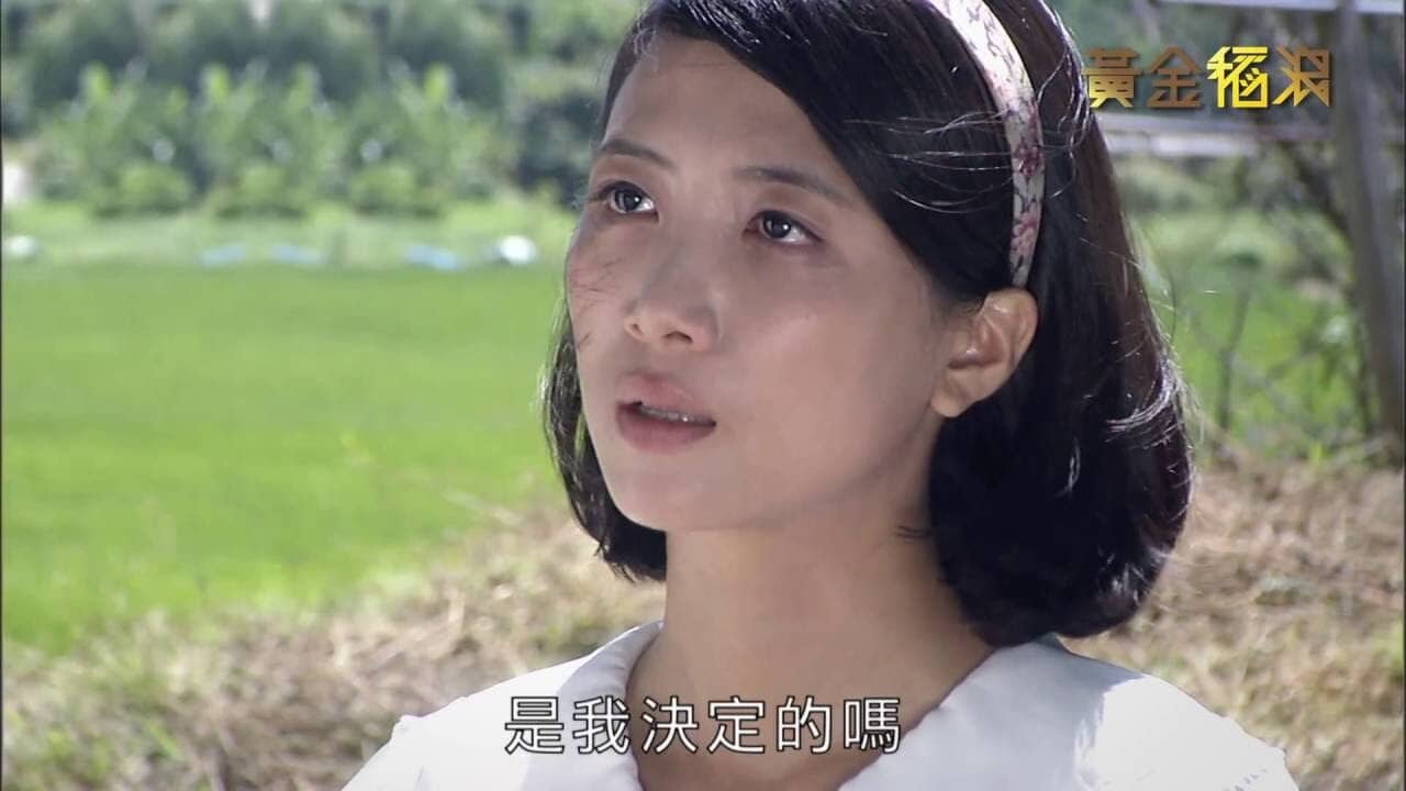 黄金稻浪 backdrop