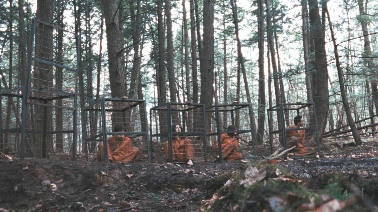 Territories backdrop