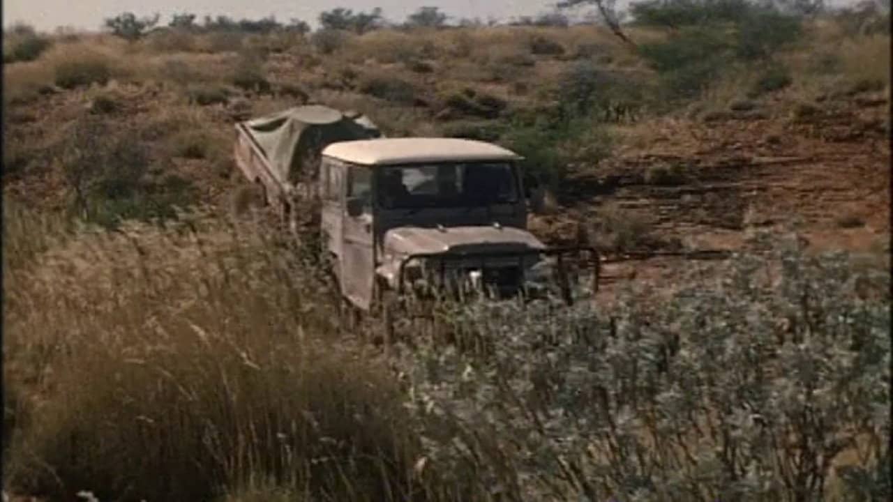 Return To The Desert backdrop