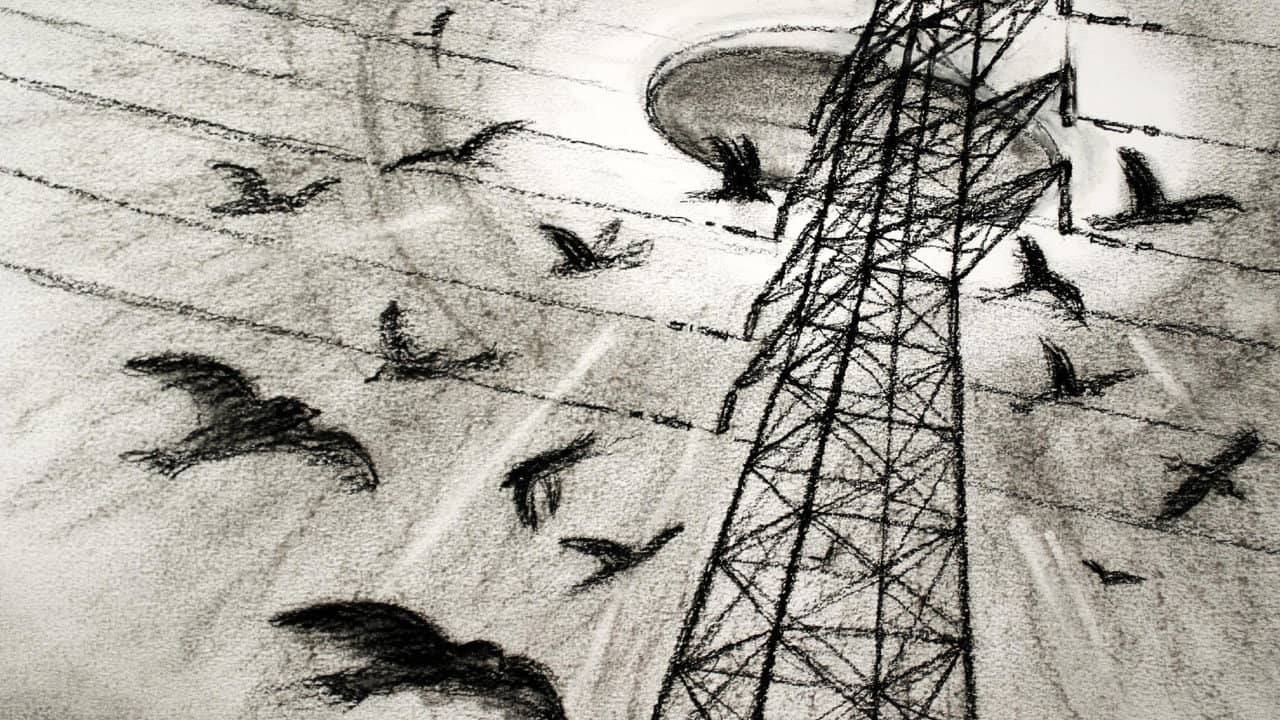 Westall 66: A Suburban UFO Mystery backdrop