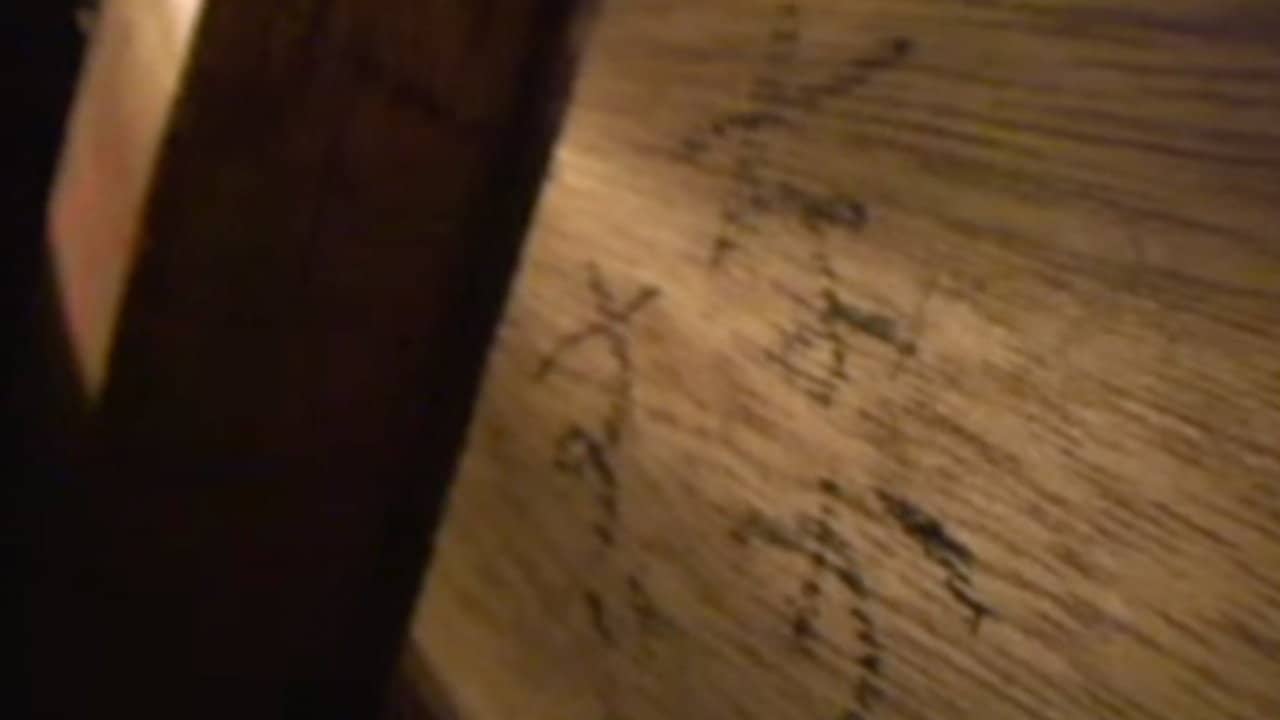 Sealed Video 14: Nekozuka's Curse backdrop