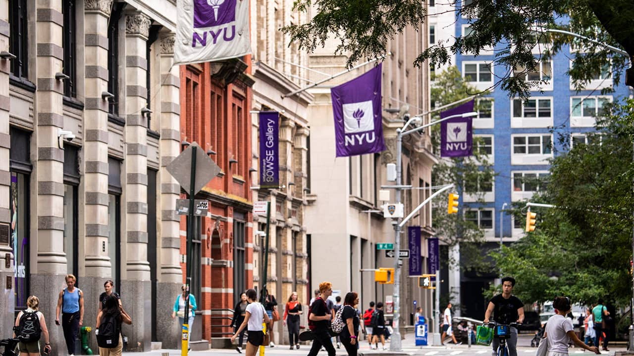 Meet The Most Based NYU Student backdrop