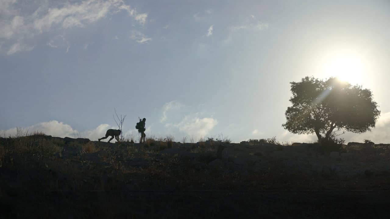 Cave backdrop