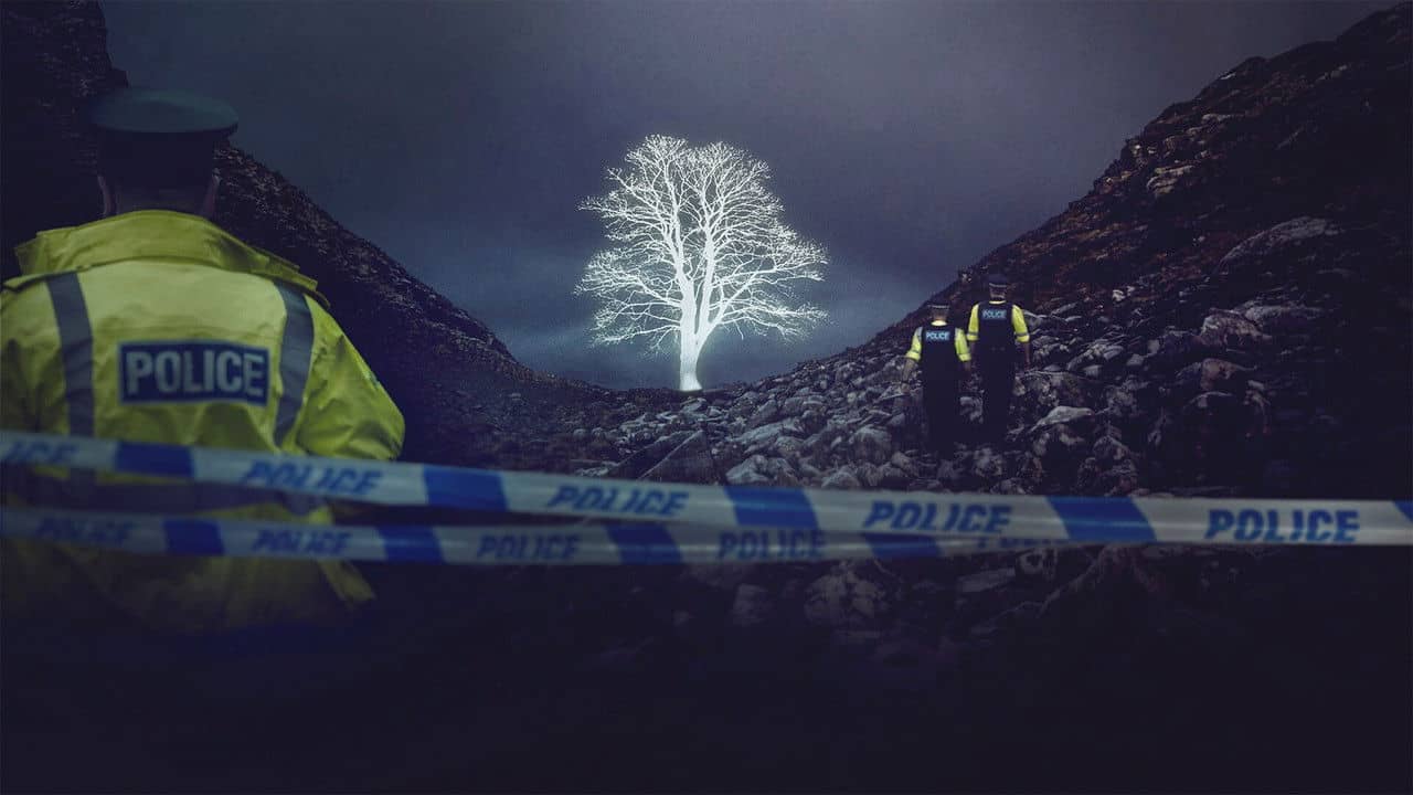 The Sycamore Gap Mystery backdrop