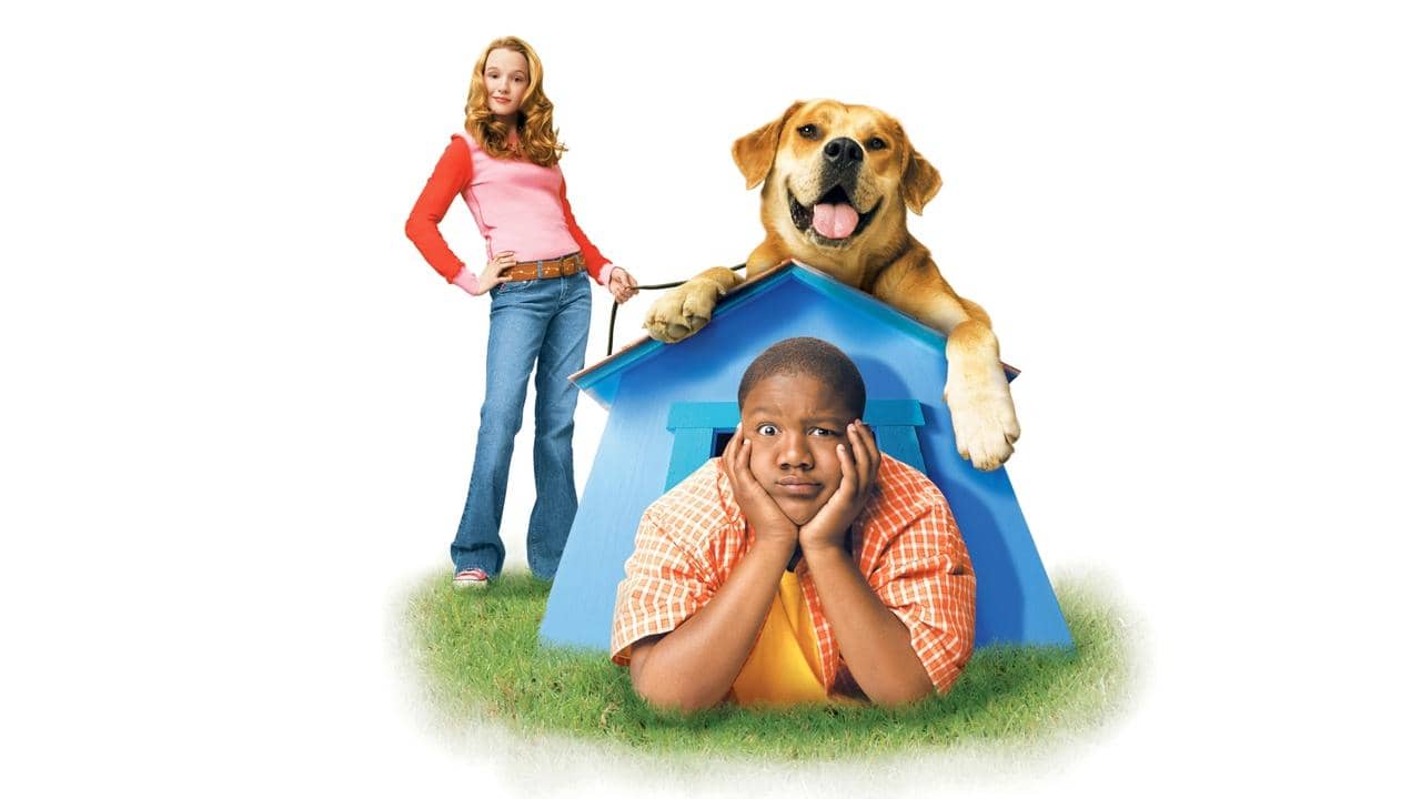 Life Is Ruff backdrop