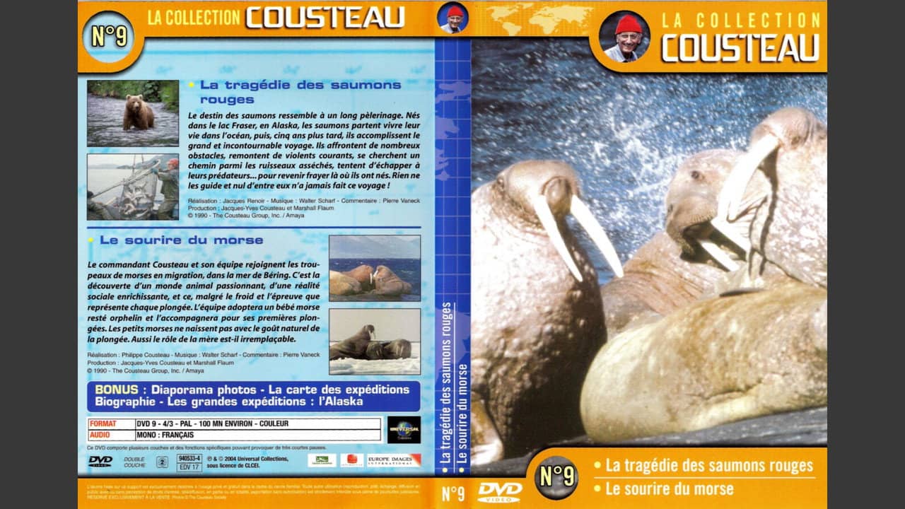 The Cousteau Collection N°9-2 | Morse's Smile backdrop