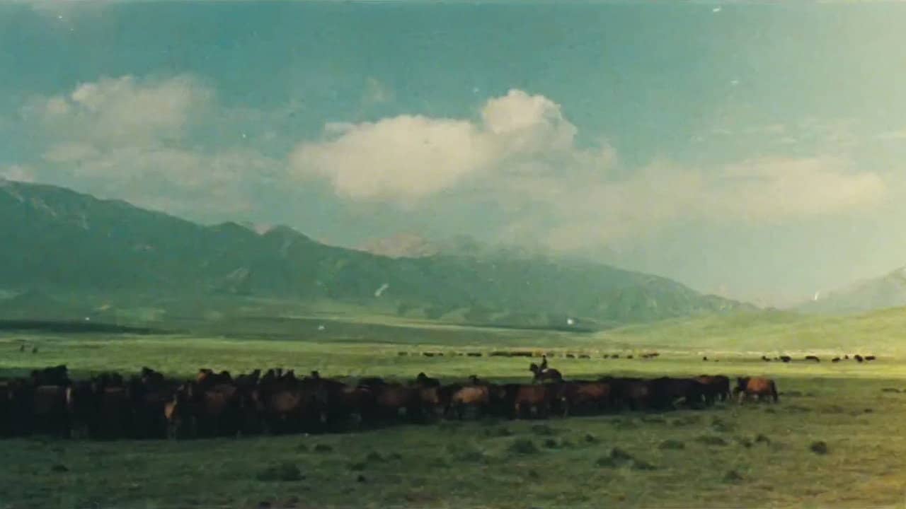 The Herdsman backdrop
