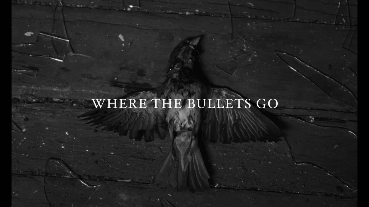 Where the Bullets Go backdrop