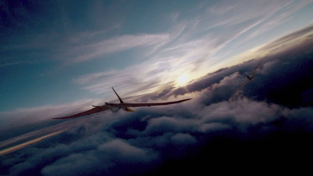 Flying Monsters 3D with David Attenborough backdrop