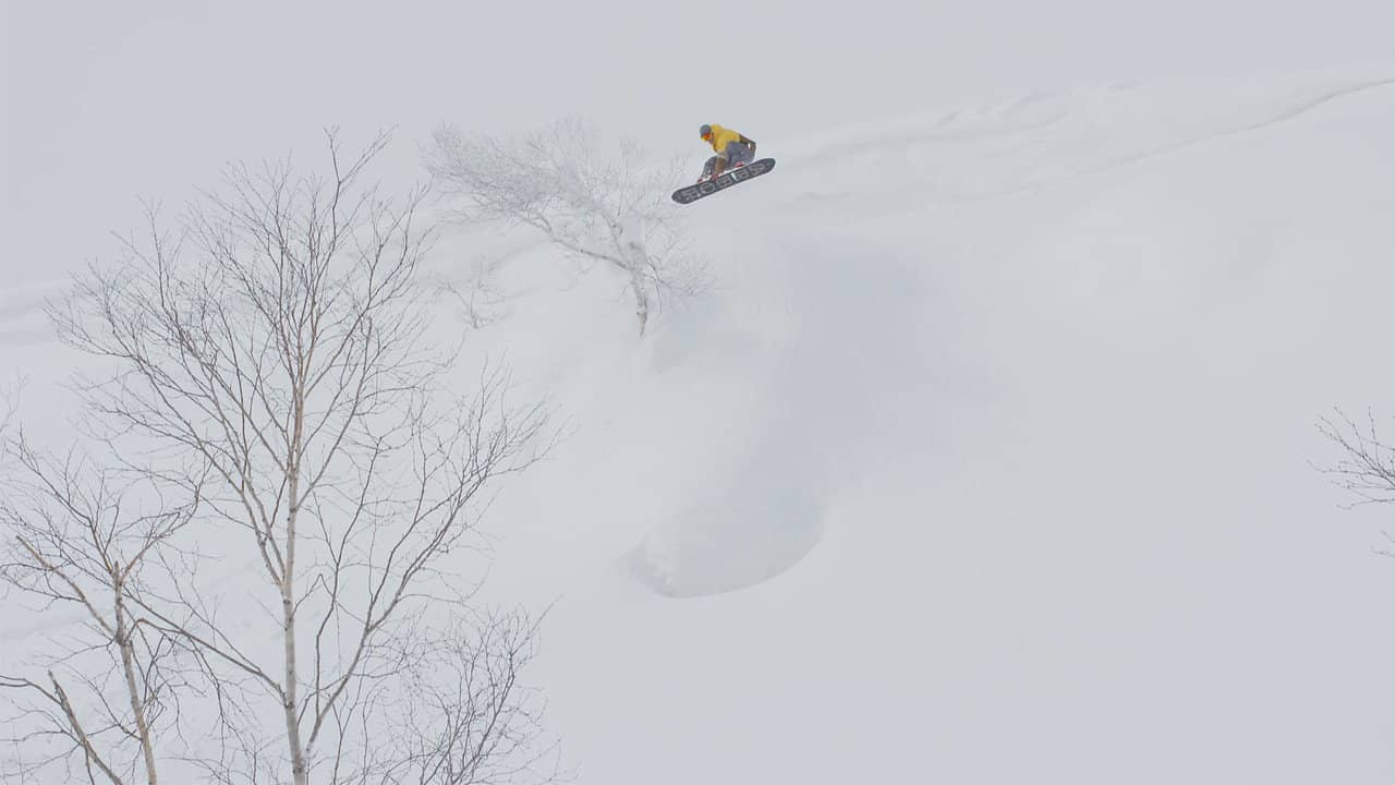 Naturestyle: Hokkaido Japan backdrop