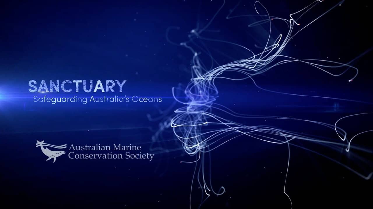 SANCTUARY - Safeguarding Australia's Oceans backdrop