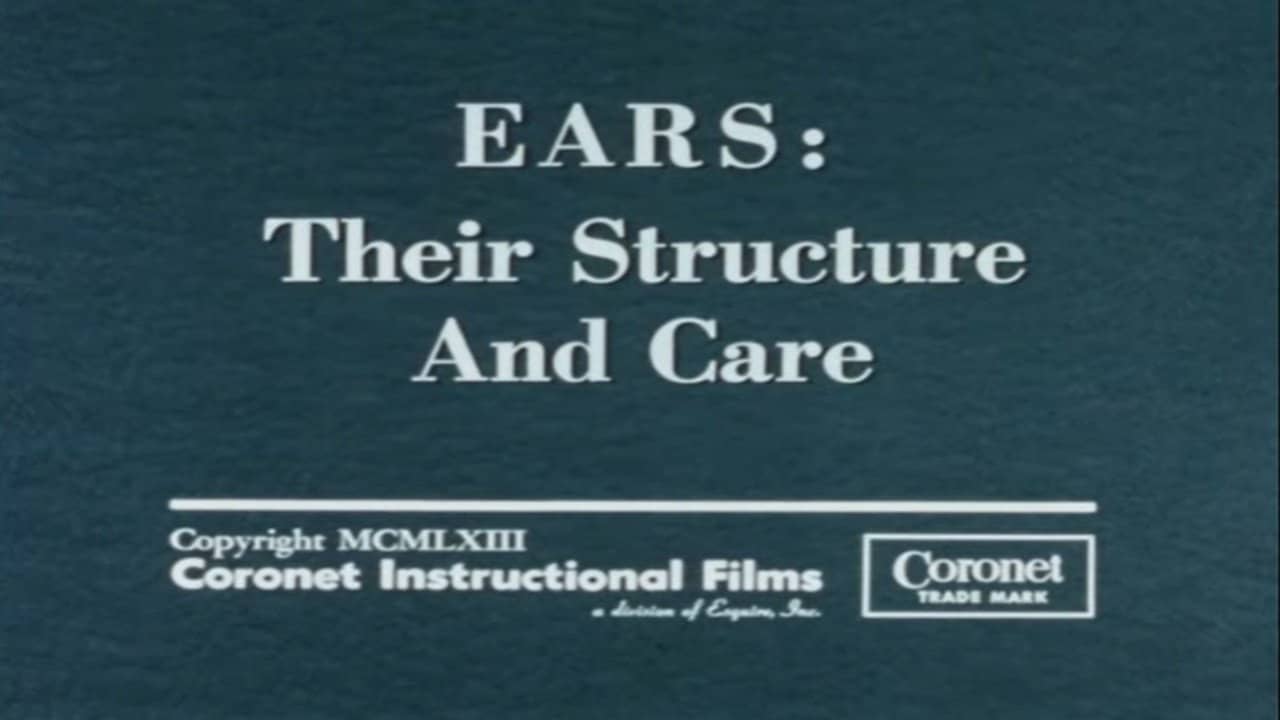 Ears: Their Structure and Care backdrop
