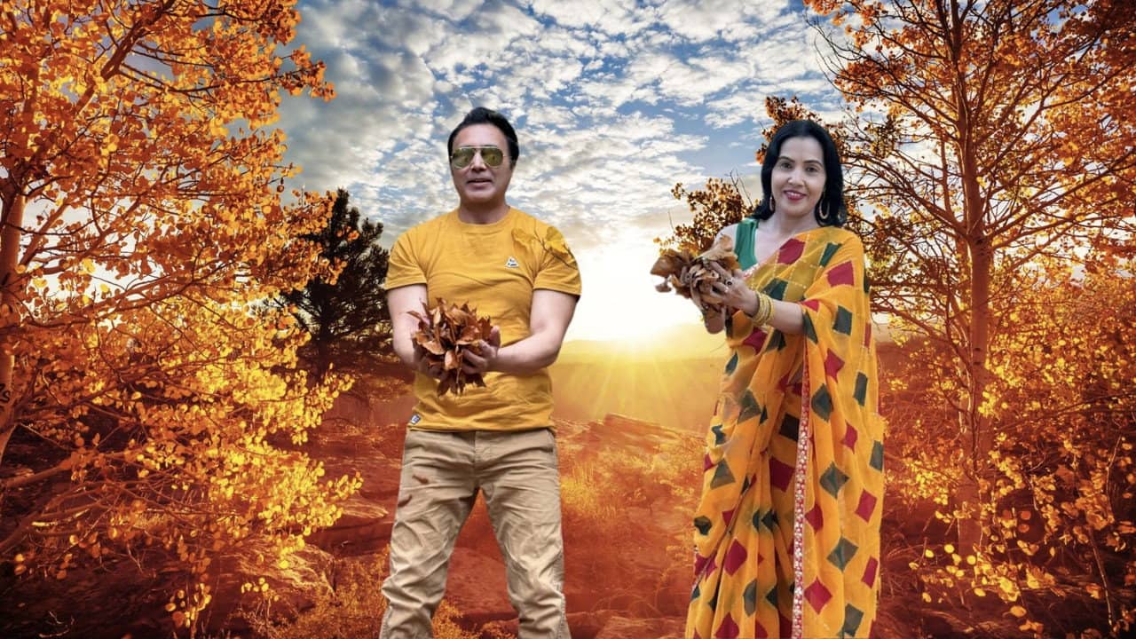 Autumn backdrop