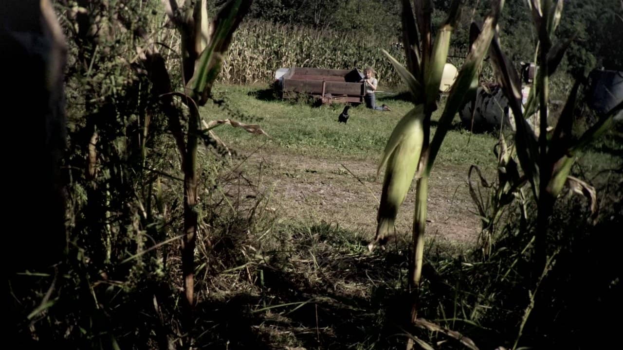 The Fields backdrop