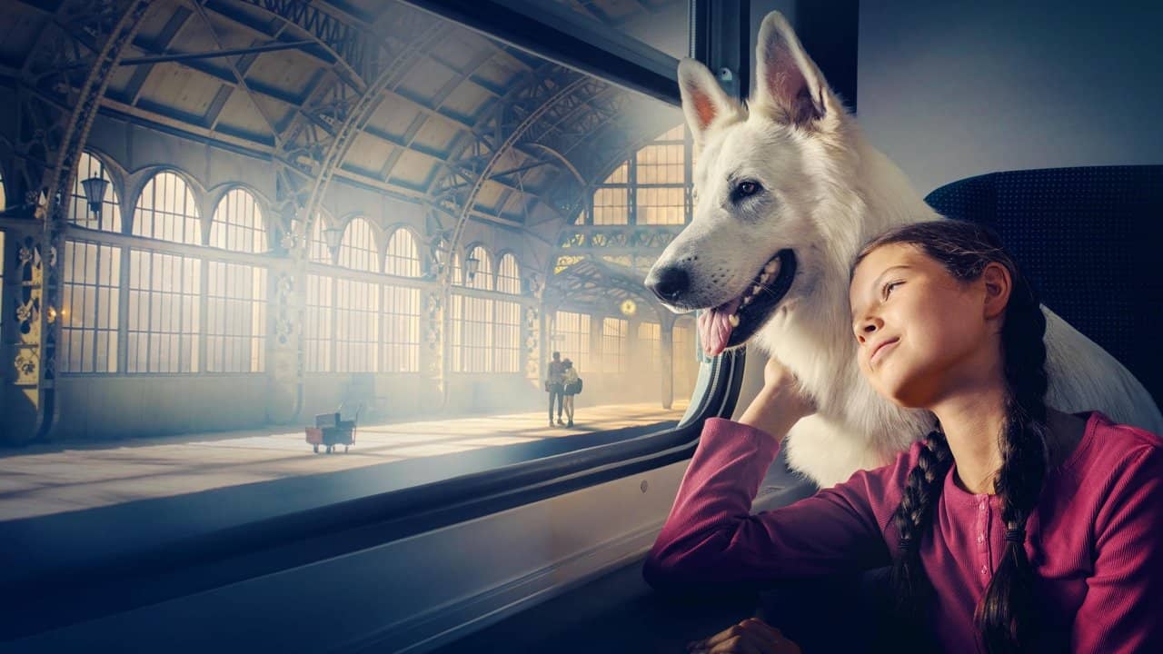 Lampo, the Travelling Dog backdrop