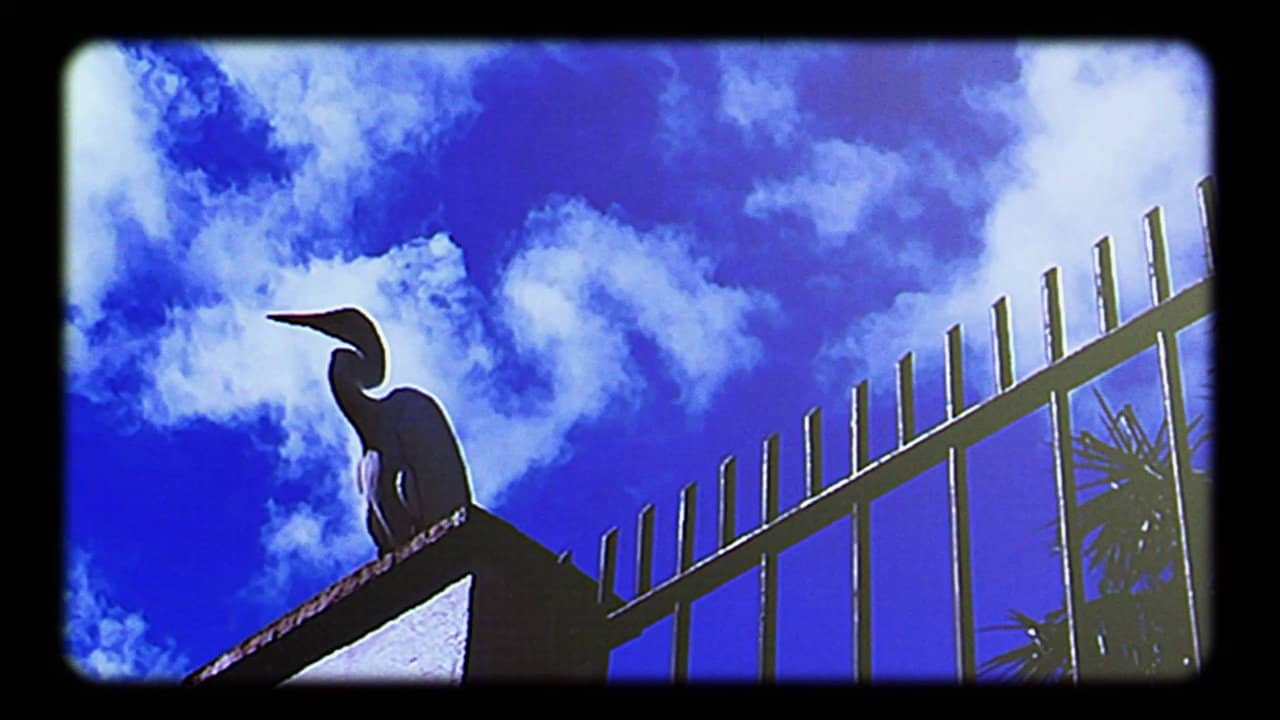 The Heron Girl backdrop