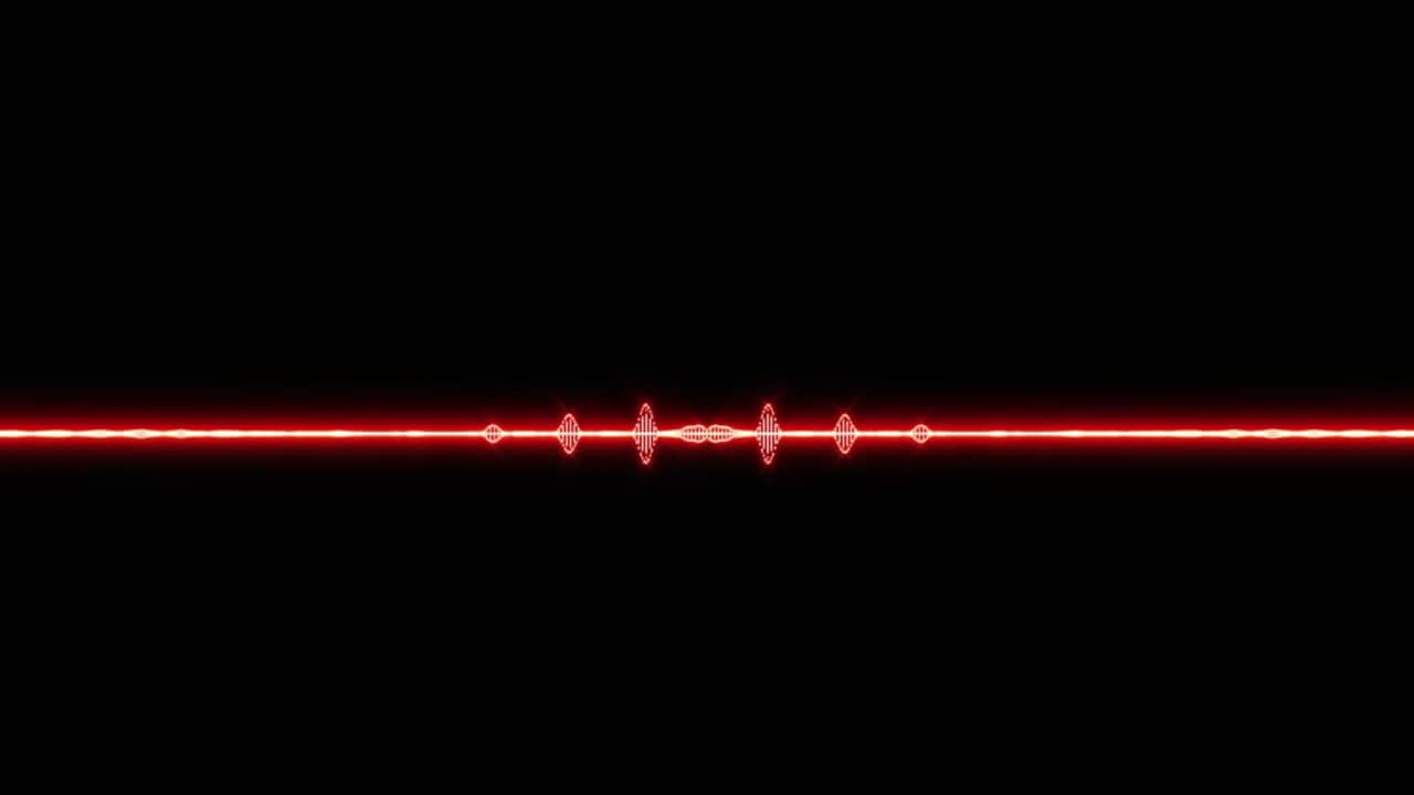 Signal Dark backdrop