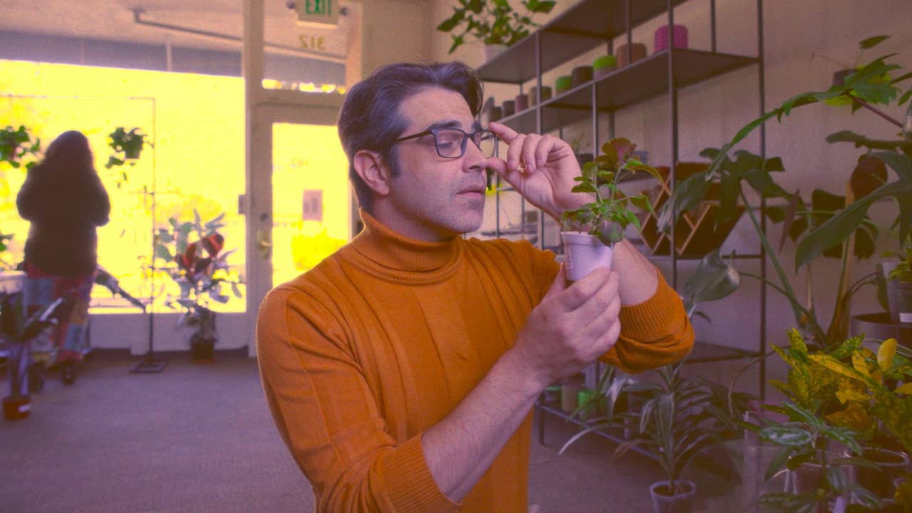 Plant Dad backdrop