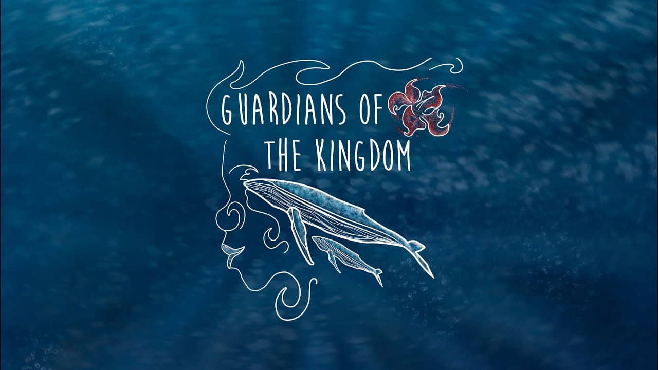 Guardians of the Kingdom backdrop
