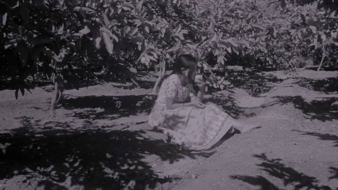 Suman backdrop