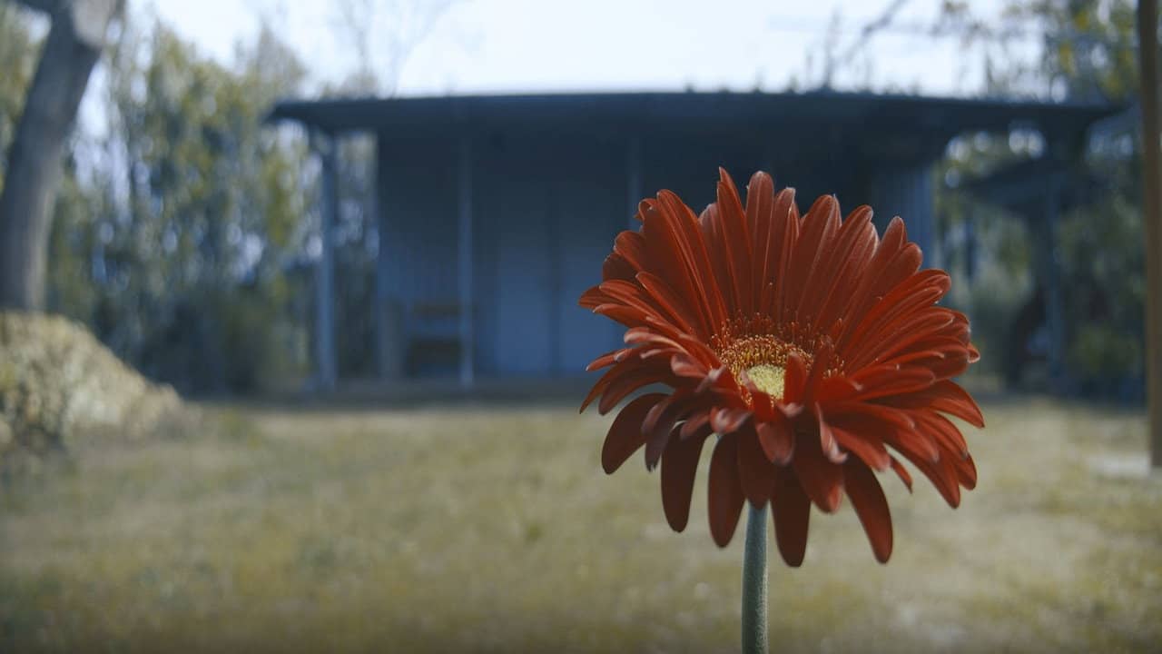 Lockdown backdrop