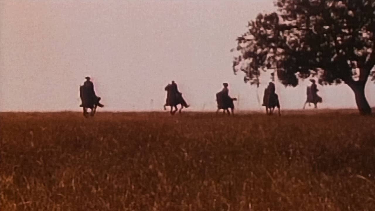 Alentejo Sem Lei backdrop