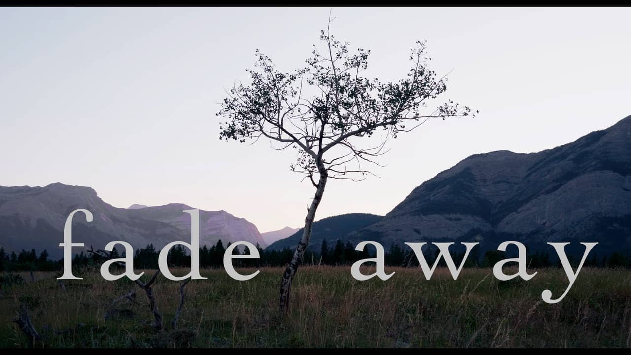 fade away backdrop