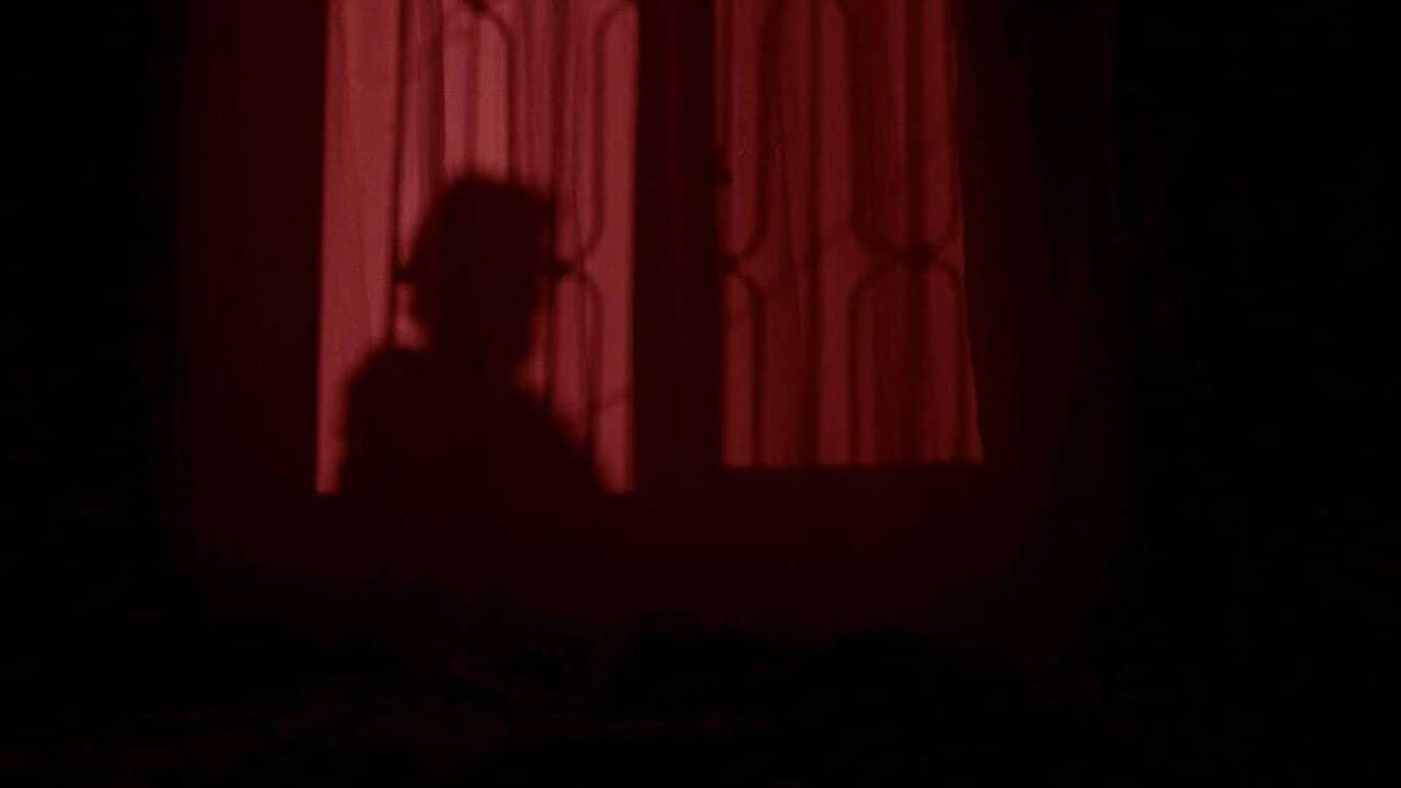 Hülya backdrop