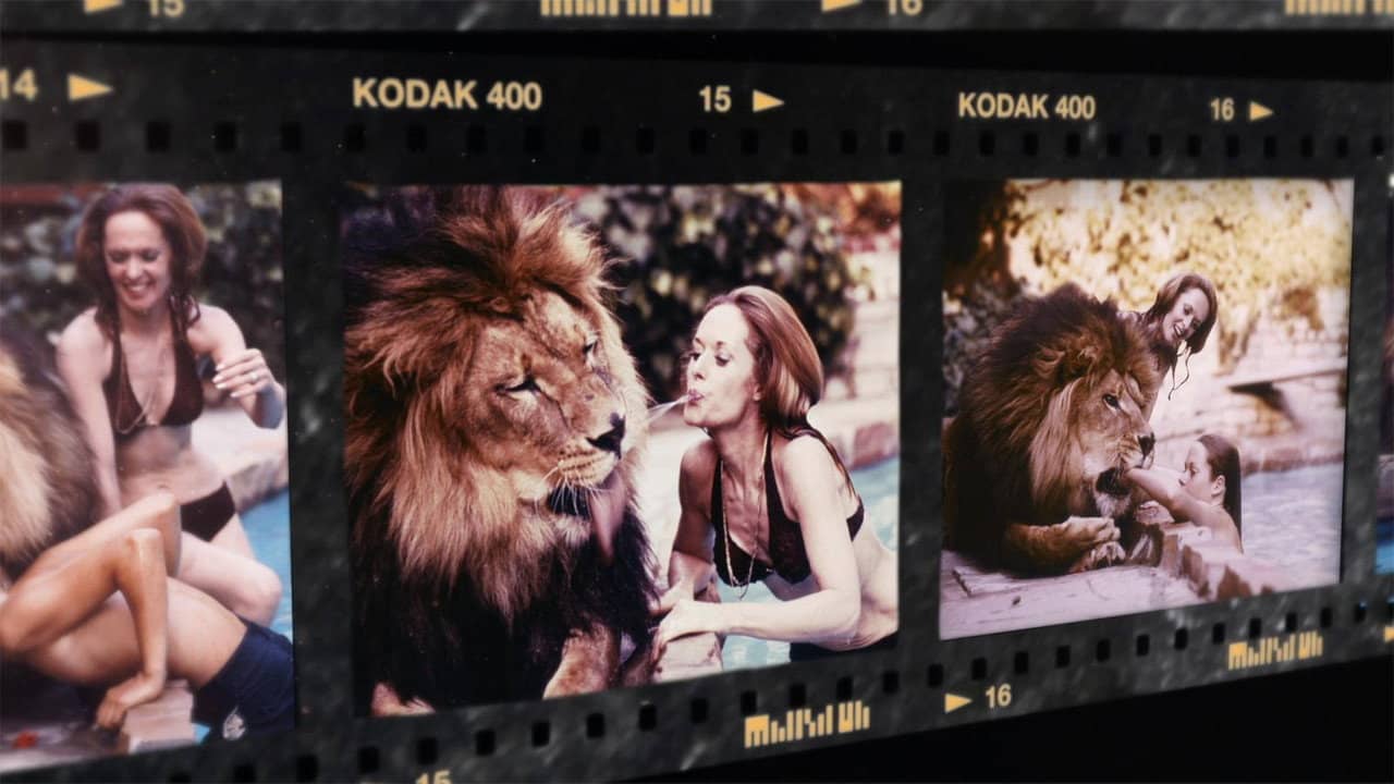 Roar: The Most Dangerous Movie Ever Made backdrop