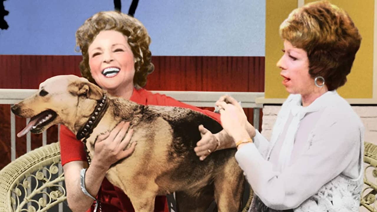 The Pet Set backdrop