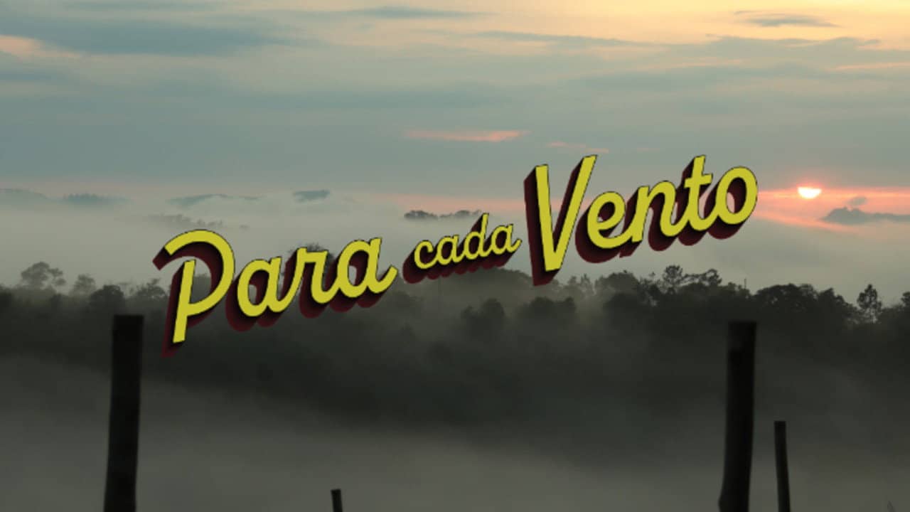 Para Cada Vento backdrop